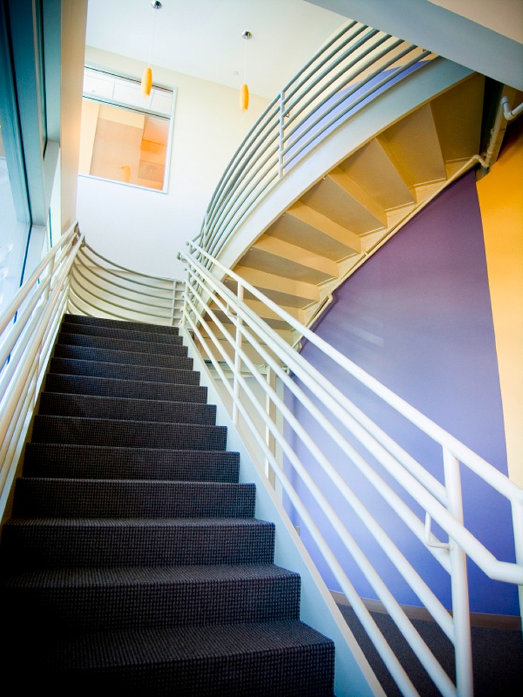 Large Staircase Refurbishment